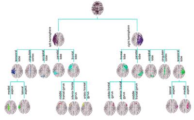 Tree representations of brain structural connectivity via persistent homology